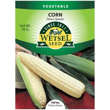 Corn, Silver Queen 10 Grams — photo 1 of 2