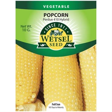 Popcorn, Perdue 410 Hybrid 10 Grams — photo 1 of 2
