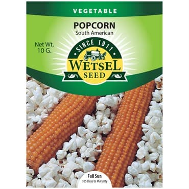 Popcorn, South American 10 Grams — photo 1 of 2