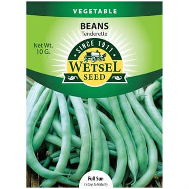 Beans, Tenderette Bush 10 Grams — photo 1 of 2