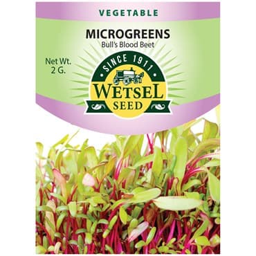 Microgreens, Bull's Blood Beet 2 Grams — photo 1 of 2