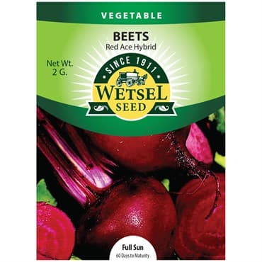 Beets, Red Ace Hybrid 2 Grams — photo 1 of 2