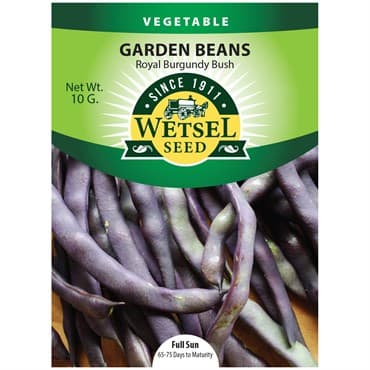 Beans, Royal Burgundy Bush 10 Grams — photo 1 of 2