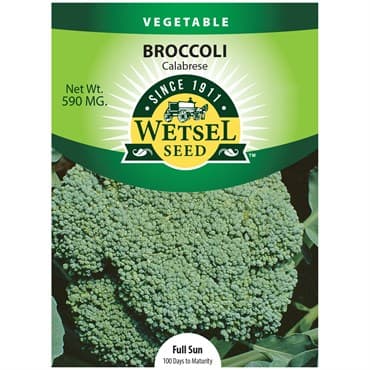 Broccoli, Calabrese 590mg — photo 1 of 2