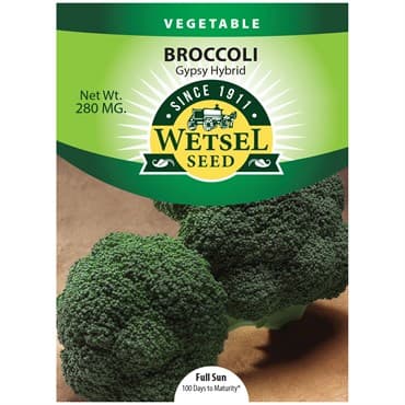 Broccoli, Gypsy Hybrid 280mg — photo 1 of 2