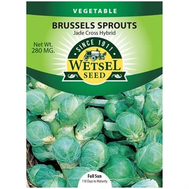 Brussel Sprouts, Jade Cross Hybrid 280mg — photo 1 of 2