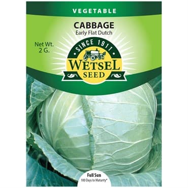 Cabbage, Early Flat Dutch 2 Grams — photo 1 of 2
