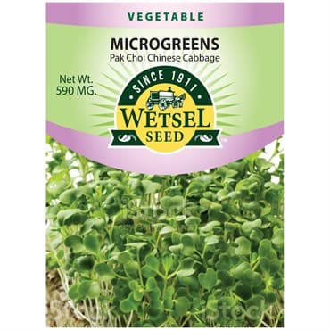 Microgreens, Pak Choi Chinese Cabbage 590mg — photo 1 of 2
