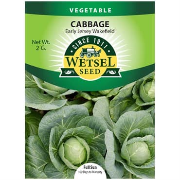 Cabbage, Early Jersey Wakefield 2 Grams — photo 1 of 2