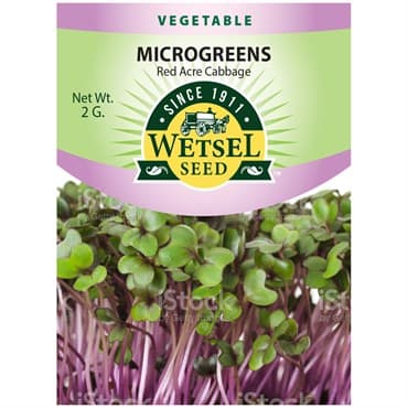 Microgreens, Red Acre Cabbage 2 Grams — photo 1 of 2
