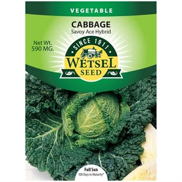 Cabbage, Savoy Ace Improved 590mg — photo 1 of 2