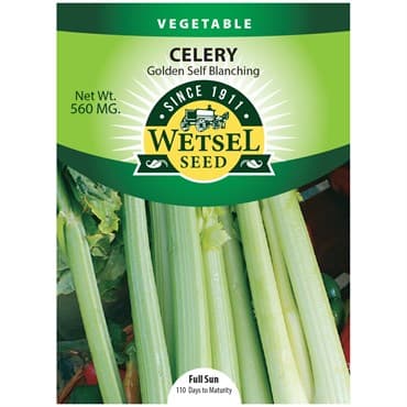Celery, Golden Self Blanching 560mg — photo 1 of 2