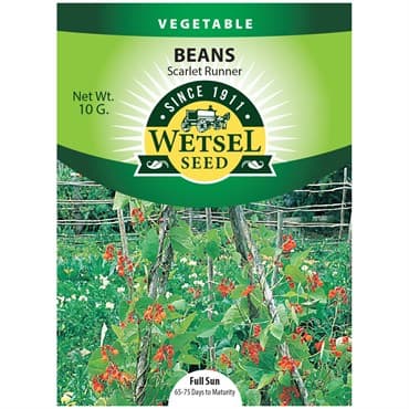 Beans, Scarlet Runner Pole 10 Grams — photo 1 of 2