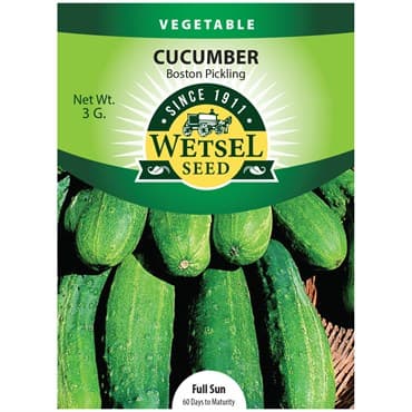 Cucumber, Boston Pickling 3 Grams — photo 1 of 2