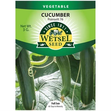 Cucumber, Poinsett 76 3 Grams — photo 1 of 2