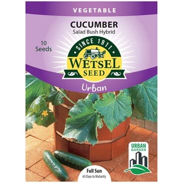 Cucumber, Salad Bush 10 Seed Count — photo 1 of 2