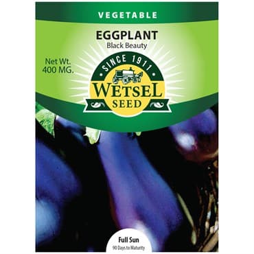 Eggplant, Black Beauty 400mg — photo 1 of 2
