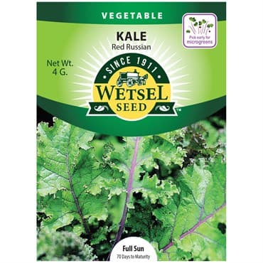 Kale, Red Russian Kale 4 Grams — photo 1 of 2