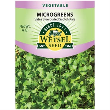 Microgreens, Vates Blue Curled Scotch Kale 4 Grams — photo 1 of 2
