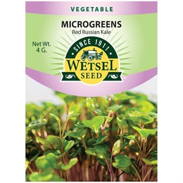 Microgreens, Red Russian Kale 4 Grams — photo 1 of 2