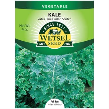 Kale, Vates Blue Curled Scotch 4 Grams — photo 1 of 2