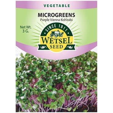 Microgreens, Kohlrabi Purple Vienna 3 Grams — photo 1 of 2