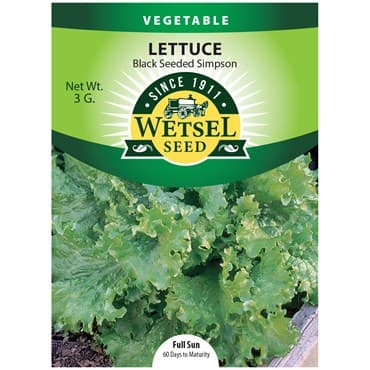 Lettuce, Black Seeded Simpson 3 Grams — photo 1 of 2