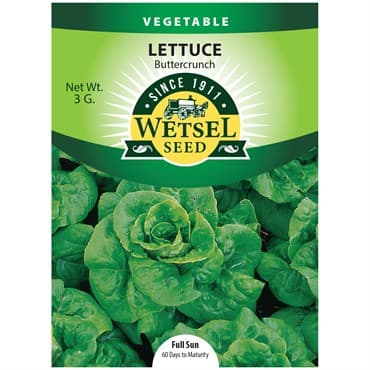 LETTUCE, BUTTERCRUNCH 3 GRAMS — photo 1 of 2