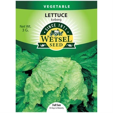 Lettuce, Iceberg 3 Grams — photo 1 of 2