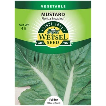 Mustard, Florida Broadleaf 4 Grams — photo 1 of 2