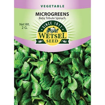 Microgreens, Baby Tribute Spinach 2 Grams — photo 1 of 2