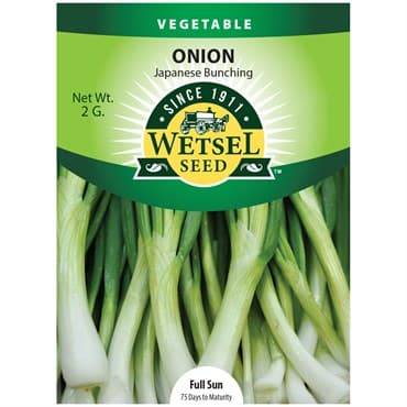 Onion, Japanese Bunching 2 Grams — photo 1 of 2