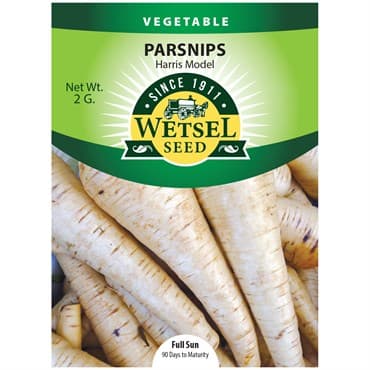 Parsnips, Harris Model 2 Grams — photo 1 of 2