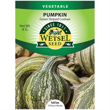 Pumpkin, Green Striped Cushaw 4 Grams — photo 1 of 2