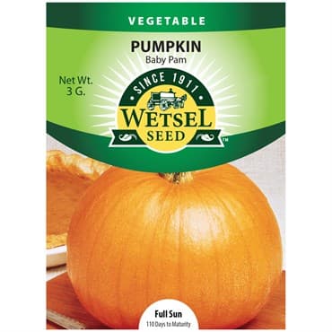 Pumpkin, Baby Pam 3 Grams — photo 1 of 2