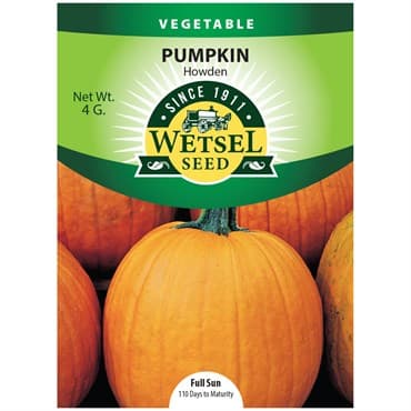 Pumpkin, Howden 4 Grams — photo 1 of 2