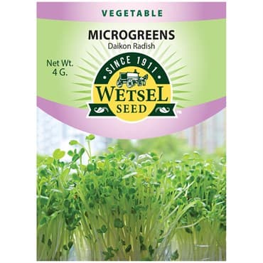 Microgreens, Daikon Radish 4 Grams — photo 1 of 2