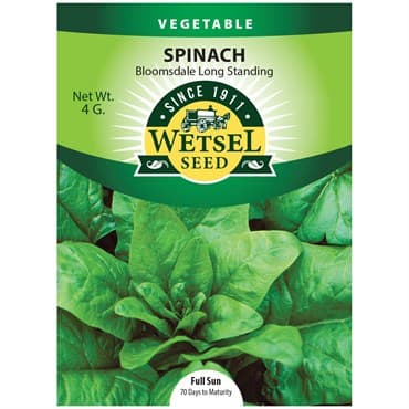 Spinach, Bloomsdale Long Standing 4 Grams — photo 1 of 2