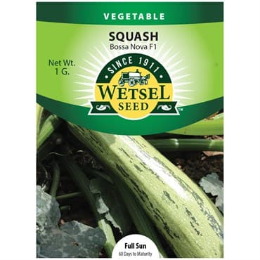 Squash, Bossa Nova 1 Gram — photo 1 of 2