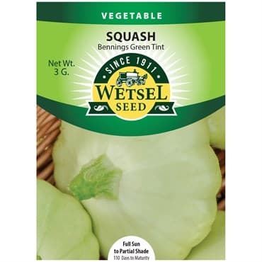Squash, Bennings Green Tint 3 Grams — photo 1 of 2