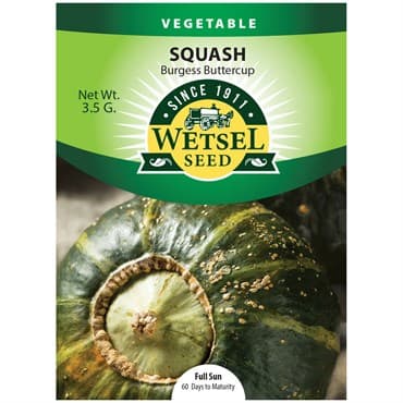 Squash, Burgess Buttercup 3.5 Grams — photo 1 of 2