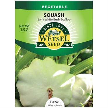 Squash, Early White Bush 3.5 Grams — photo 1 of 2