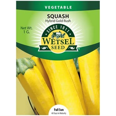 Squash, Gold Rush Hybrid 1 Gram — photo 1 of 2