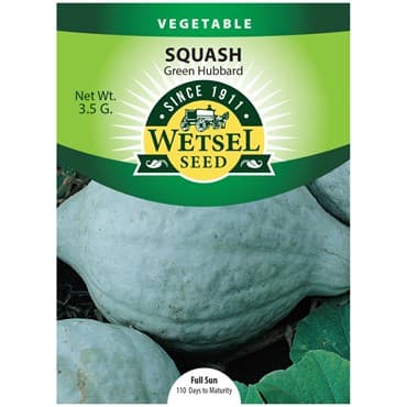 Squash, Improved Green Hubbard 3.5 Grams — photo 1 of 2
