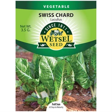 Swiss Chard, Lucullus 3.5 Grams — photo 1 of 2