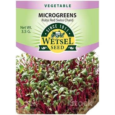 Microgreens, Ruby Red Swiss Chard 3.5 Grams — photo 1 of 2