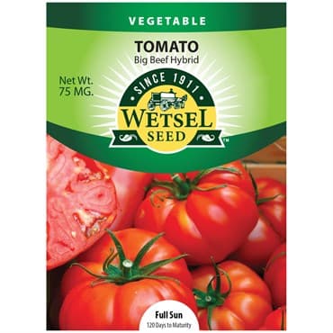 Tomato, Big Beef 75mg — photo 1 of 2