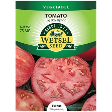 Tomato, Big Boy 75mg — photo 1 of 2