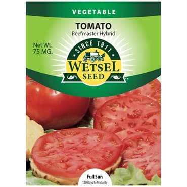 Tomato, Beefmaster 75mg — photo 1 of 2