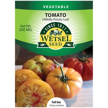 Tomato, Hillbilly Potato Leaf 200mg — photo 1 of 2